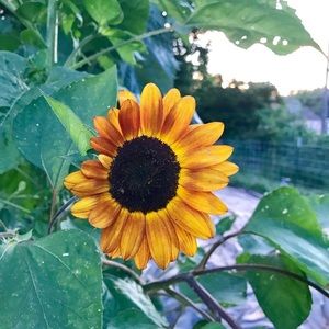 Meet your Posher, Marilyn